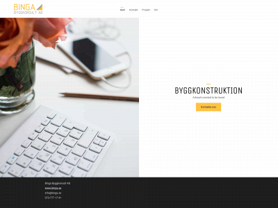 binga.se snapshot