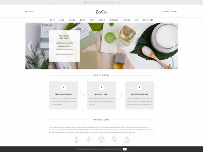 zocowellbeing.com snapshot