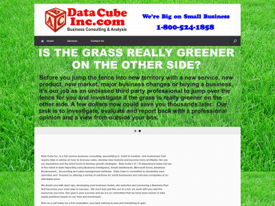 datacubeinc.com snapshot