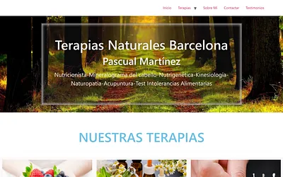 www.terapiasnaturalesbarcelona.net snapshot
