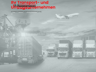 tt-transportservice.de snapshot