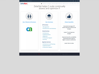 zetaopt.com snapshot