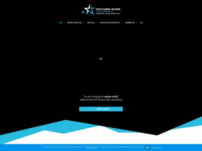 hockeycampsweden.com snapshot