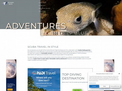 porcupine-divers.com snapshot