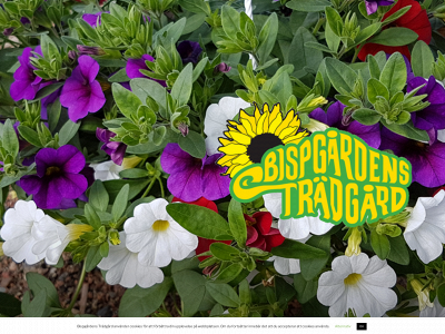 bispgardenstradgard.se snapshot