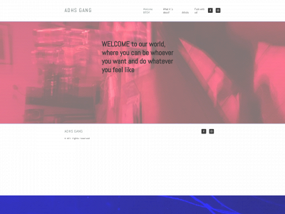 adhsgang.com snapshot
