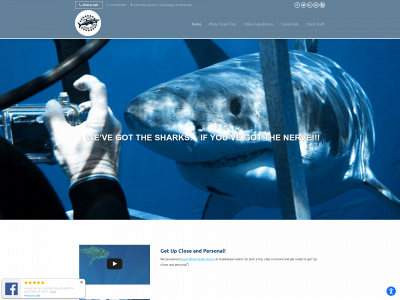 sdsharkdiving.com snapshot