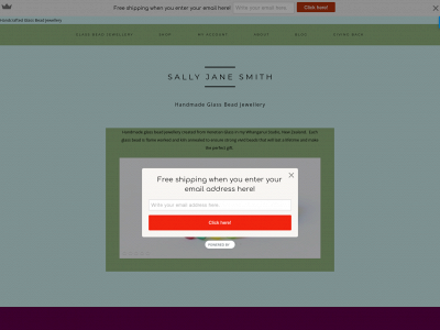 sallyjanesmith.nz snapshot