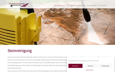 steinreiniger.ag snapshot