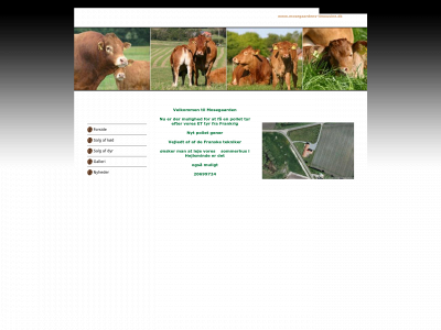 mosegaardens-limousine.dk snapshot