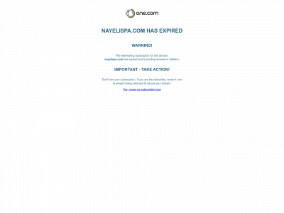nayelispa.com snapshot