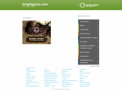 brightgunz.com snapshot