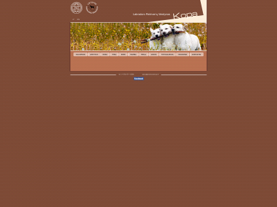 veislynaskopa.lt snapshot