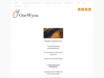 onewyou.com snapshot