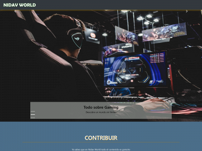 nidavworld.com snapshot