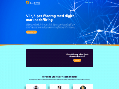 zandman.se snapshot