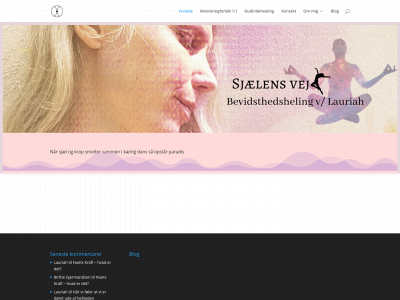 bevidsthedsheling.dk snapshot