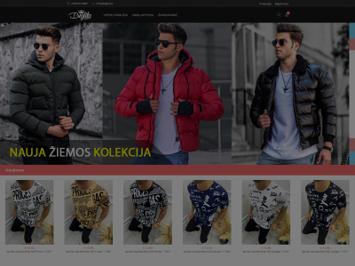 biglita.lt snapshot