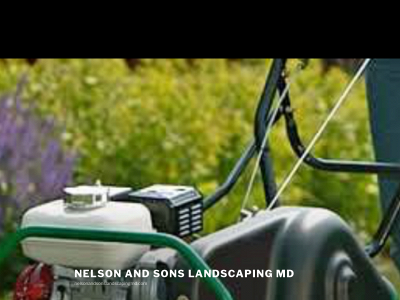 nelsonandsonslandscapingmd.com snapshot