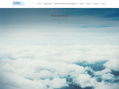 cloudfaceusa.com snapshot