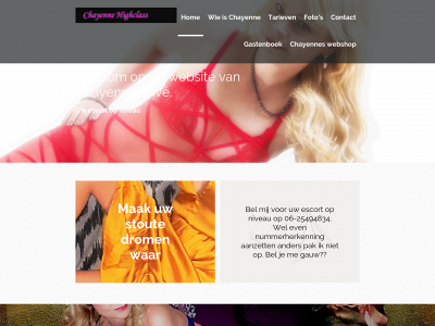 chayenneprive.nl snapshot