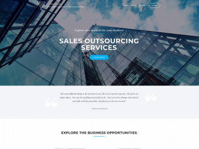 workforsales.com snapshot