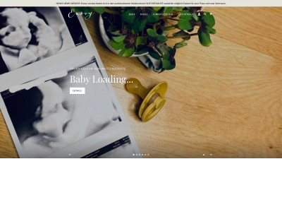 enovy-kindermode.de snapshot