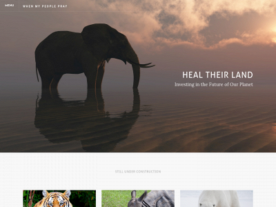 healtheirland.com snapshot