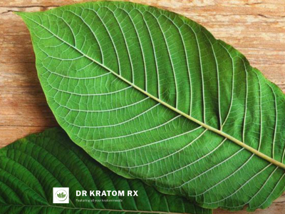drkratomrx.com snapshot