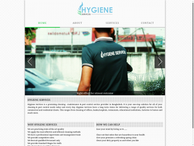 hygiene-services.org snapshot