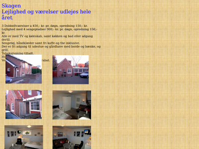 skagenvaerelse.dk snapshot