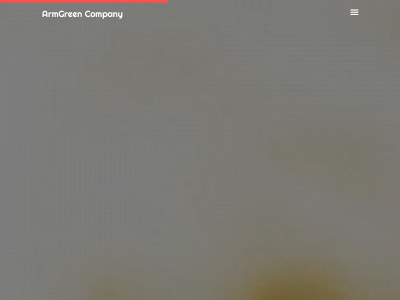 armgreencompany.uk snapshot