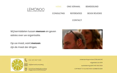 lemon8.consulting snapshot