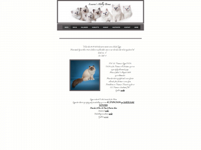 licarini.dk snapshot