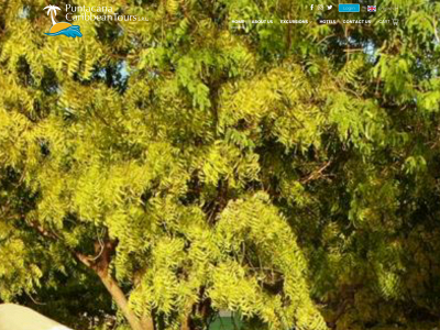 puntacanacaribbeantours.com snapshot