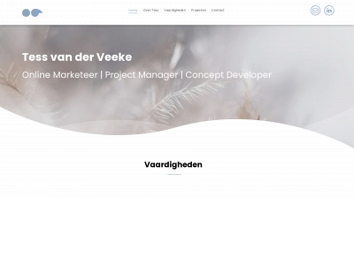 tessvdveeke.nl snapshot
