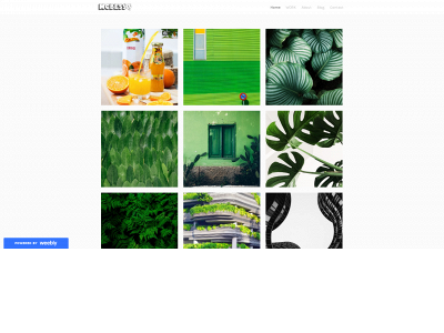 natremy.weebly.com snapshot