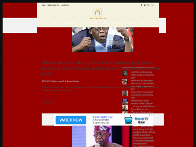 meenatnigeria.com snapshot