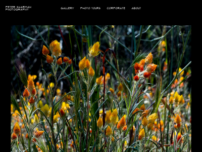 www.petersharman.com.au snapshot