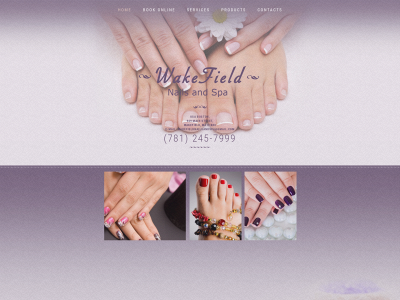 wakefieldnailsandspa.com snapshot