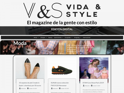 vidaystyle.com snapshot