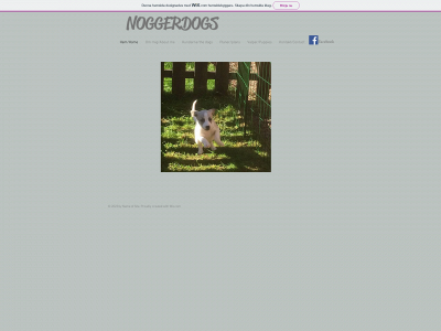noggerdogs.com snapshot