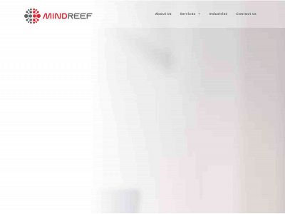 mindreef.com snapshot