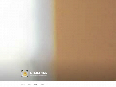 bisilinks.com snapshot