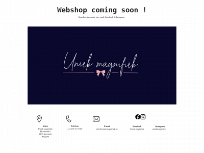 uniekmagnifiek.be snapshot