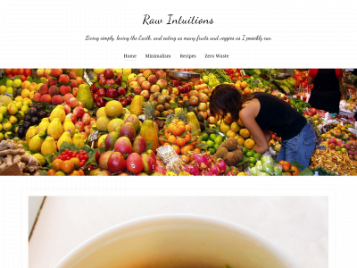 rawintuitions.com snapshot