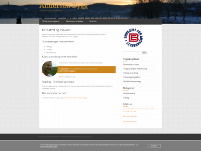 andersonbygg.no snapshot