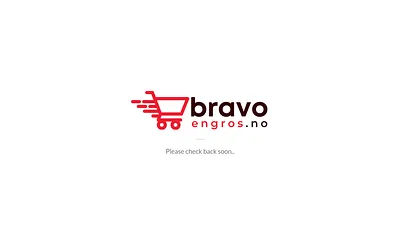 bravoengros.no snapshot