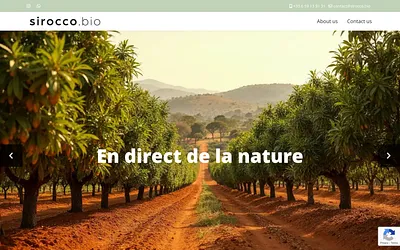 sirocco.bio snapshot