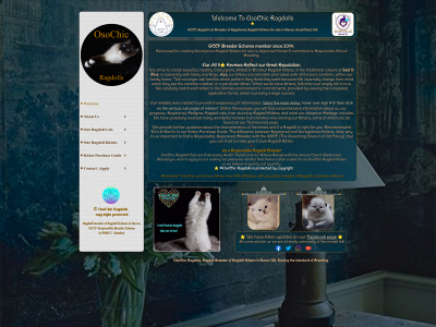 osochicragdolls.co.uk snapshot